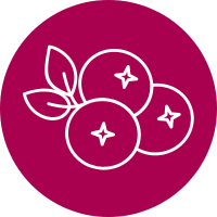 New Zealand blackcurrants help manage adaptation to exercise so you can perform better