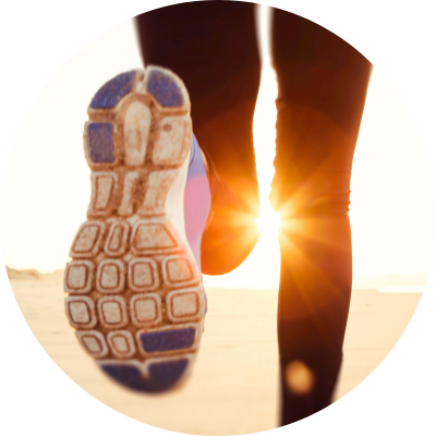 blackcurrant powder boosts endurance