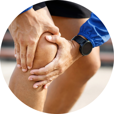 blackcurrant powder helps manage inflammation