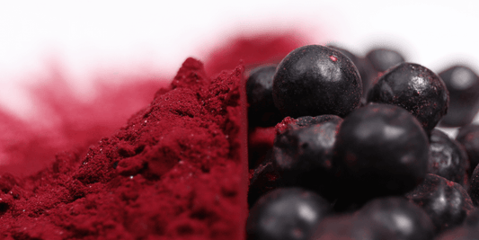 Blackcurrant Dry Fruit Benefits: Fresh vs Freeze Dried for Athletes