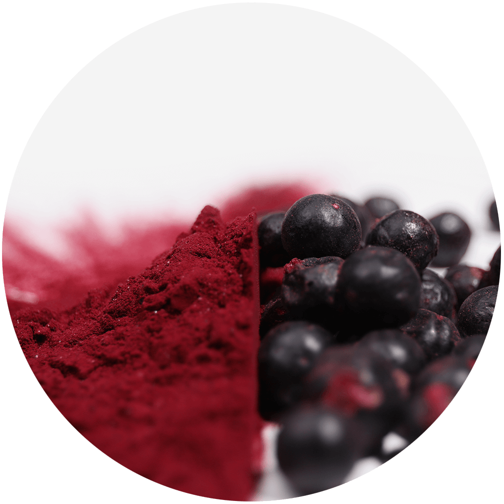 2before blackcurrant powder is freeze-dried from the berry and 100% natural