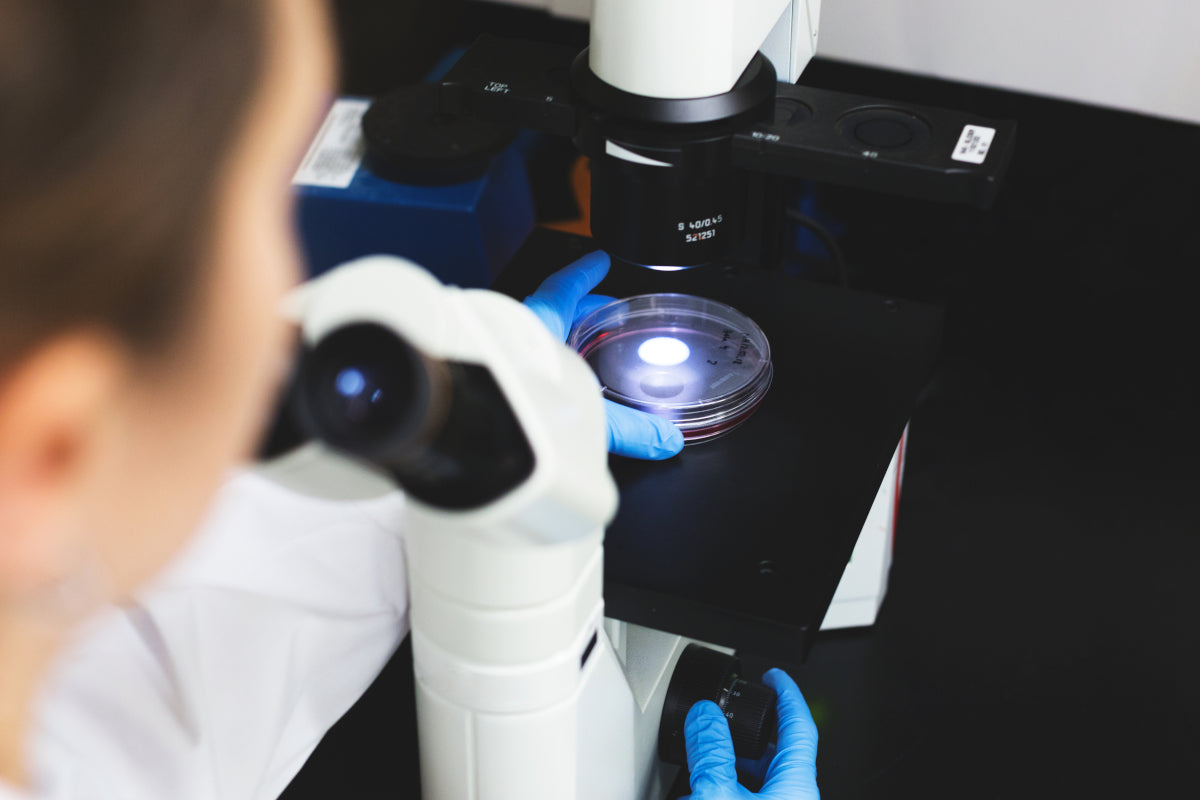 Scientist examining supplement ingredient